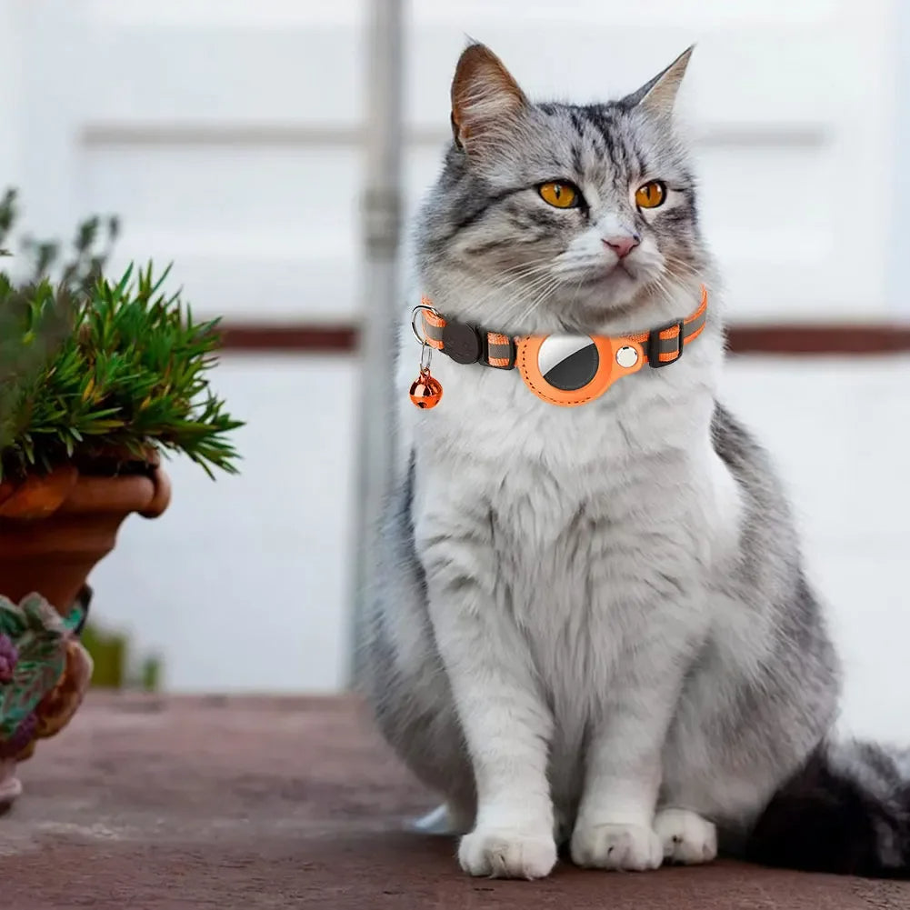 Transform Your Cat's Safety and Freedom Today!